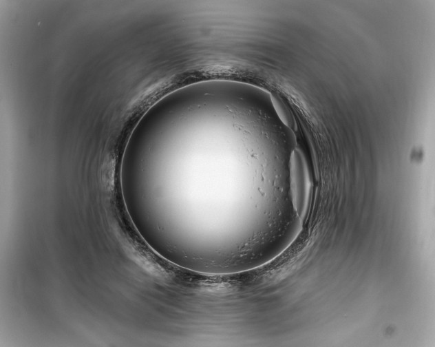 X0000099580454200805161239