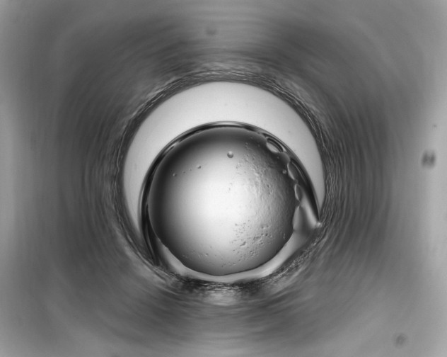 X0000099580456200805161240