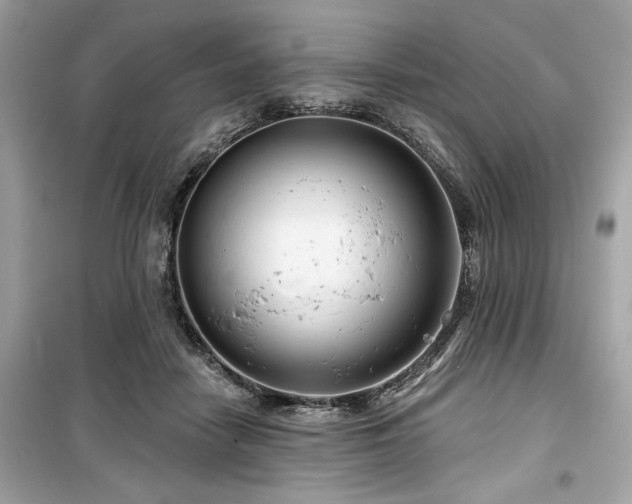 X0000099580458200805161240