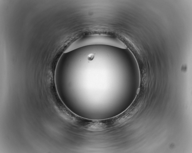X0000099580459200805161240