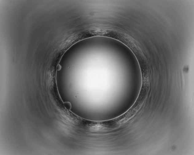 X0000099580460200805161240
