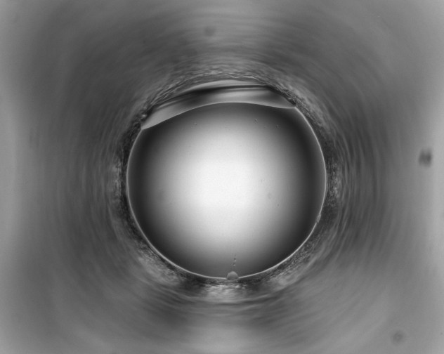 X0000099580461200805161240