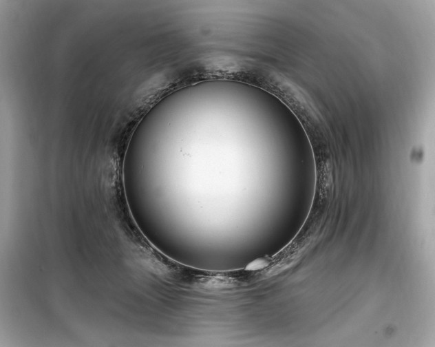 X0000099580463200805161240