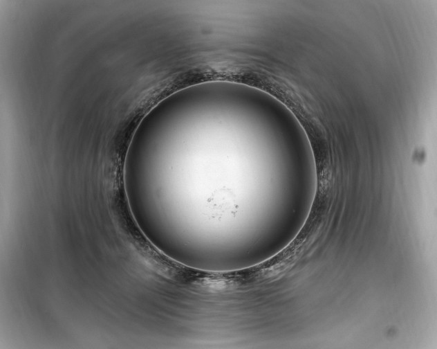X0000099580464200805161240