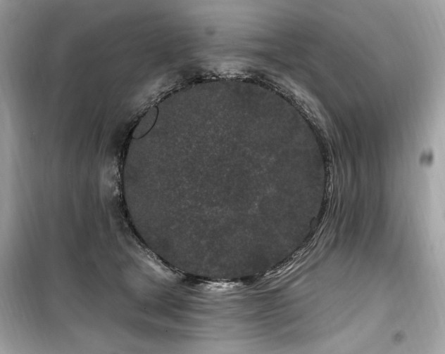 X0000099580465200805161240