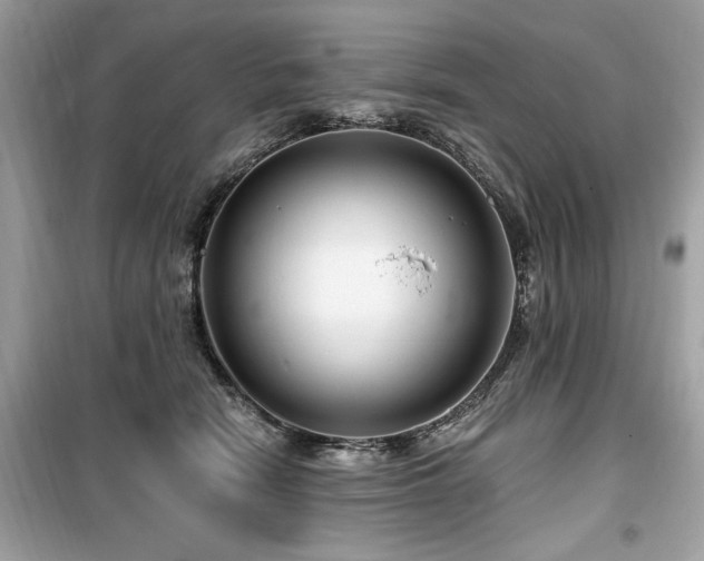 X0000099580466200805161240