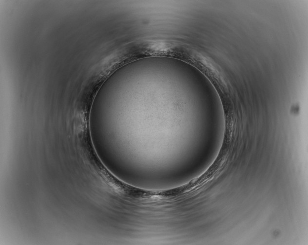 X0000099580467200805161240