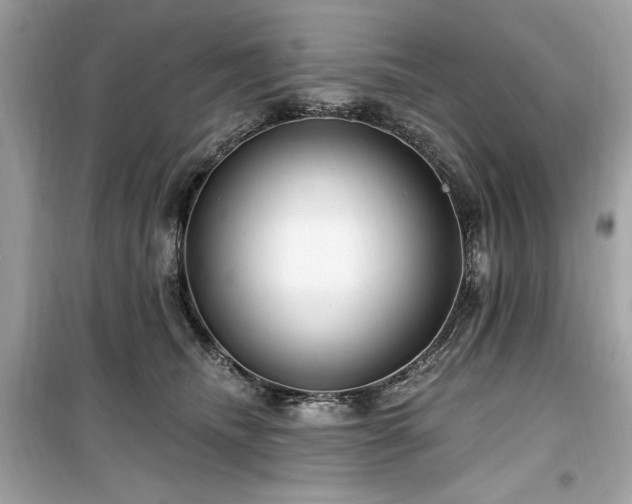 X0000099580468200805161240