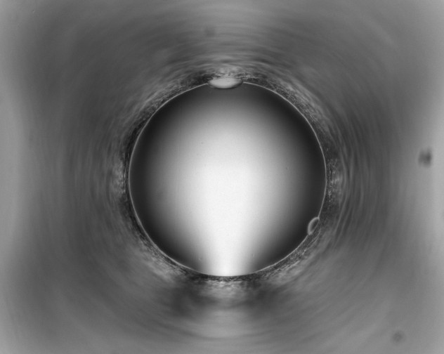 X0000099580469200805161240