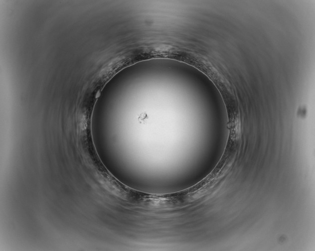 X0000099580472200805161240