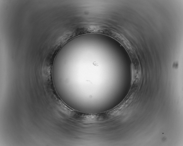 X0000099580473200805161240