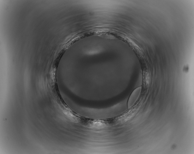 X0000099580475200805161240