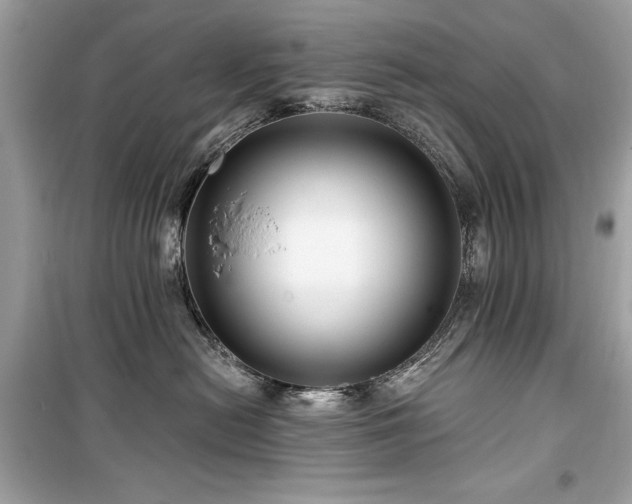 X0000099580478200805161240