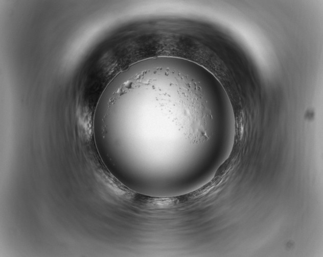 X0000099580479200805161240