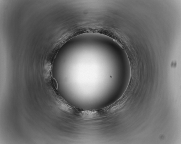 X0000099580480200805161240