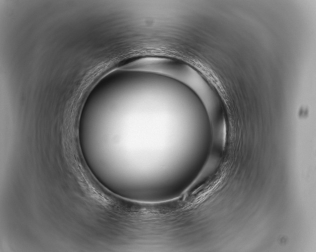 X0000099580481200805161239