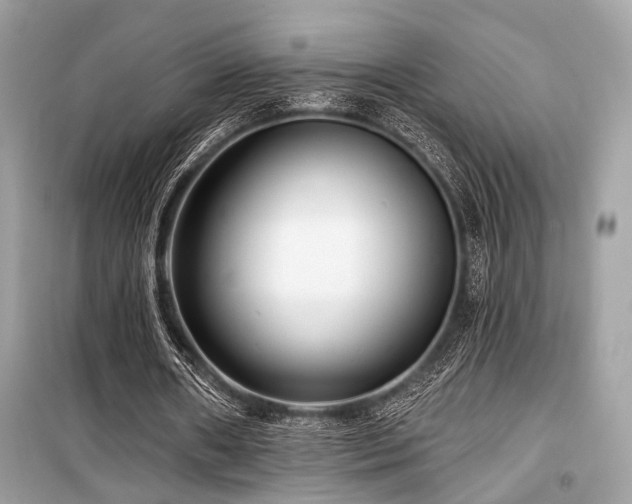 X0000099580482200805161239