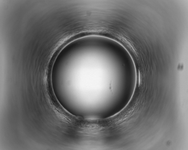 X0000099580483200805161239