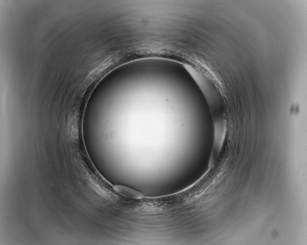 X0000099580489200805161239