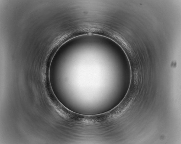 X0000099580490200805161239