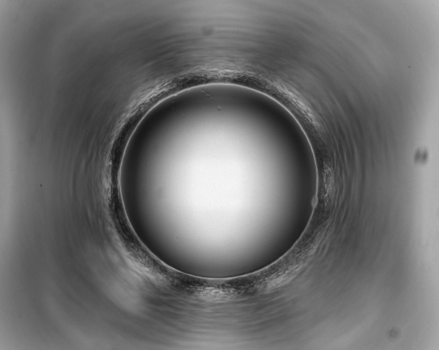 X0000099580494200805161239