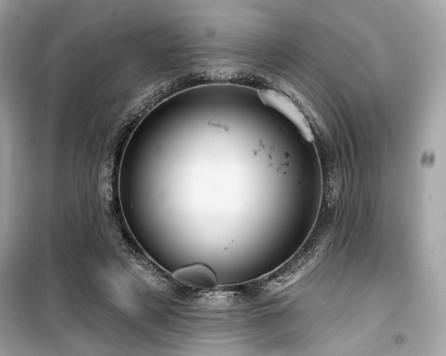 X0000099580497200805161239