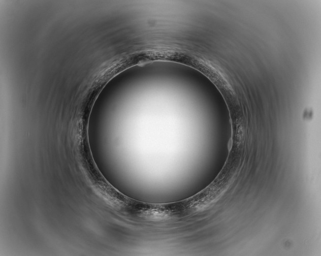 X0000099580498200805161239