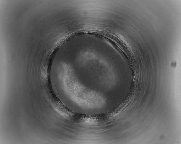 X0000099580500200805161239