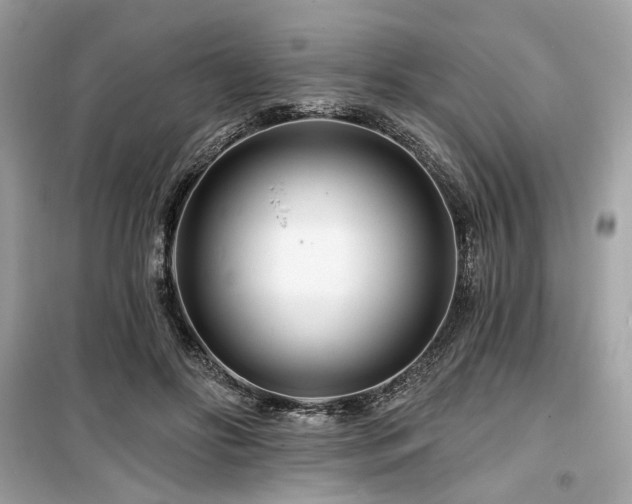 X0000099580502200805161239