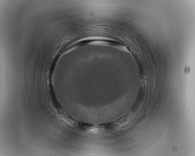X0000099580504200805161239