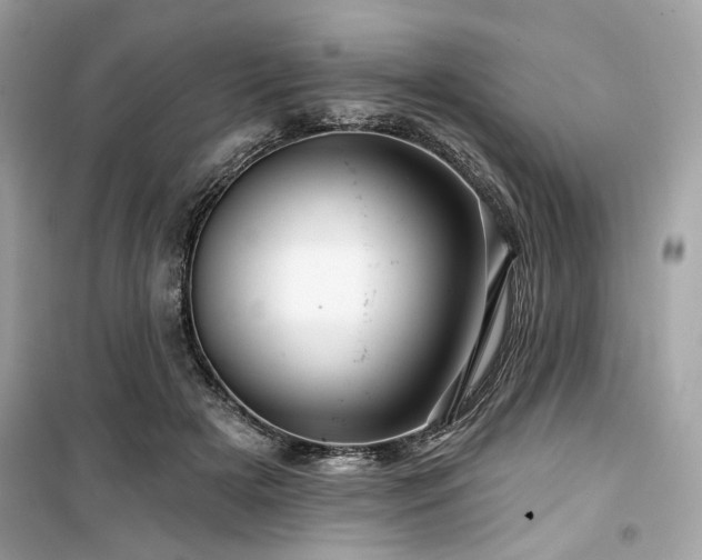 X0000099580505200805161239