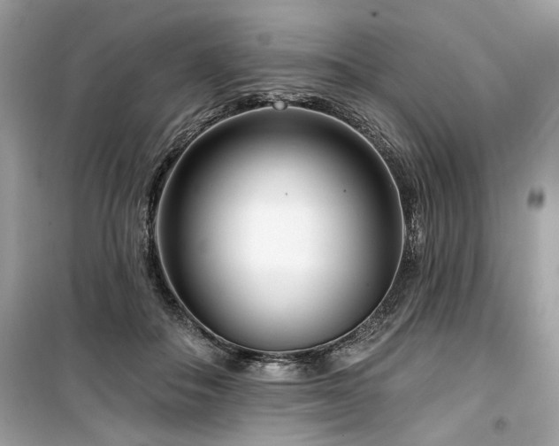 X0000099580506200805161239