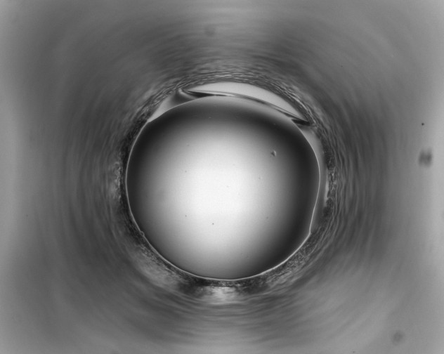 X0000099580509200805161239