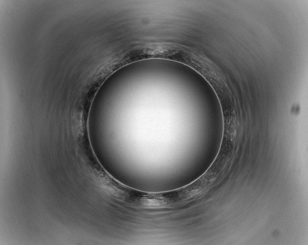 X0000099580510200805161239