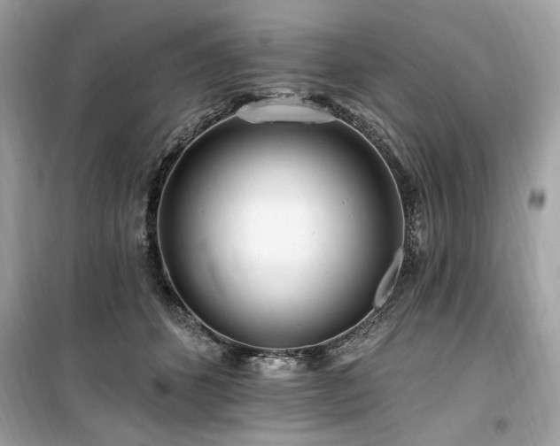 X0000099580512200805161239