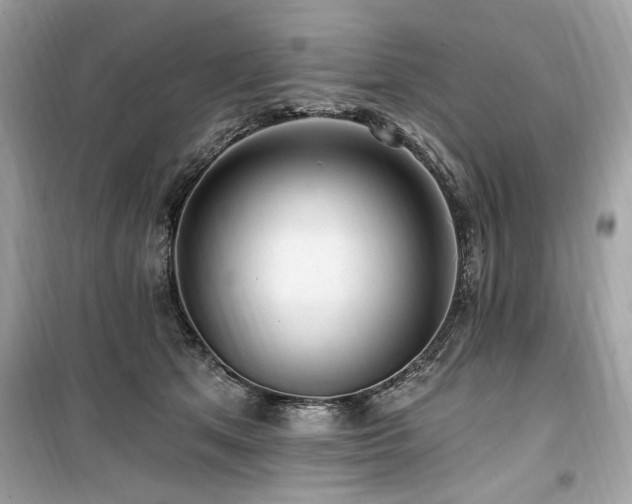 X0000099580513200805161239