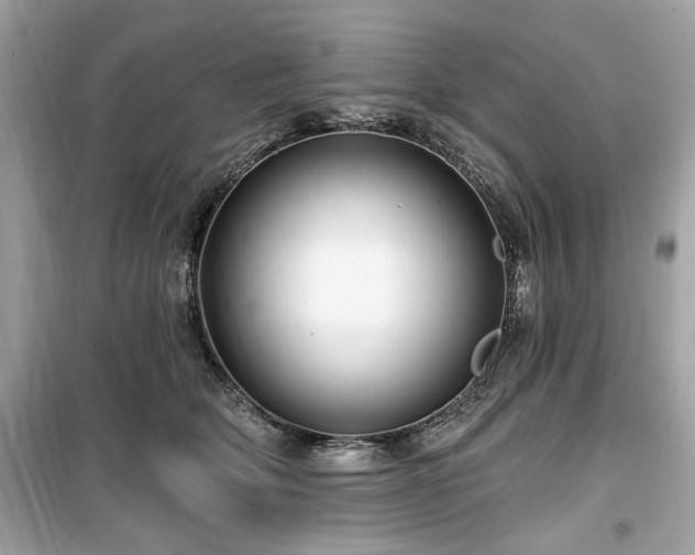 X0000099580514200805161239