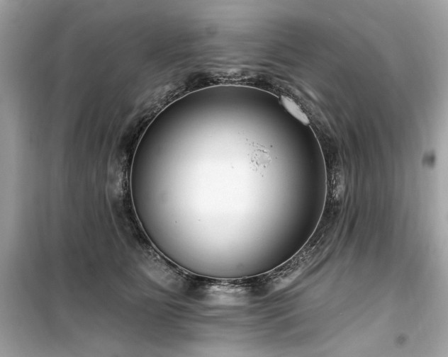 X0000099580515200805161239
