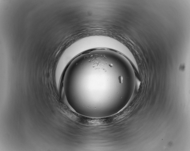 X0000099580516200805161239