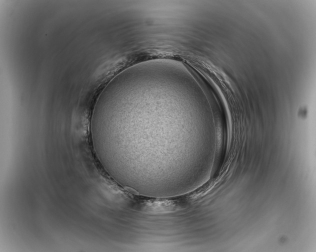 X0000099580517200805161239