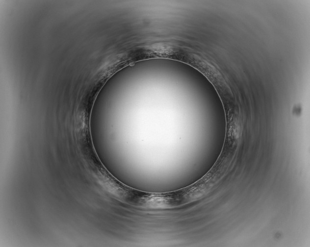 X0000099580518200805161239