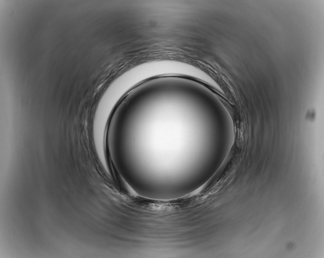 X0000099580520200805161239