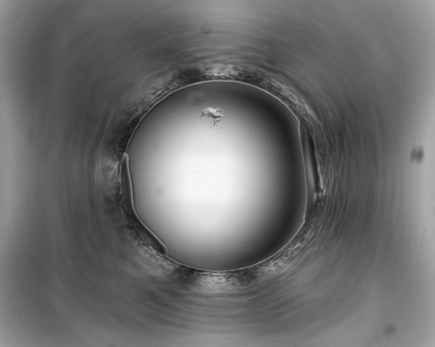 X0000099580521200805161239