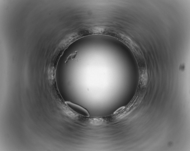 X0000099580525200805161239