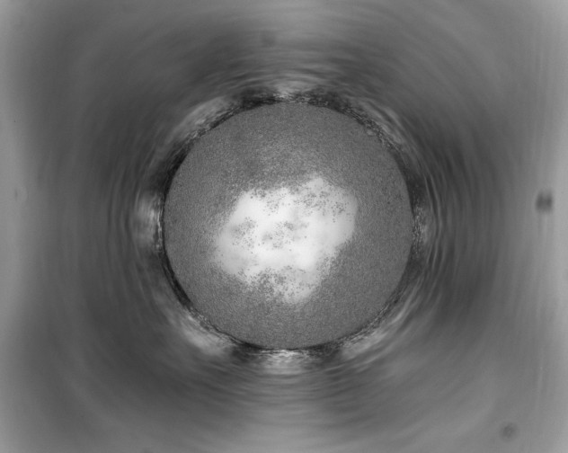 X0000099580527200805161239