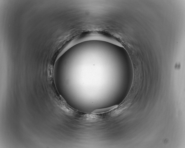 X0000099580528200805161239