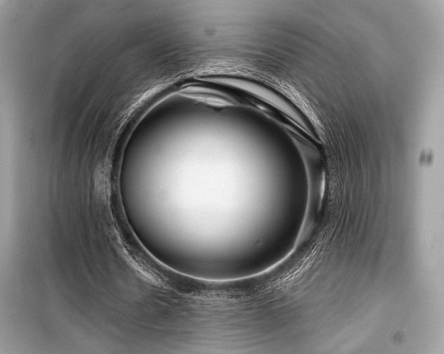 X0000099580530200805161238