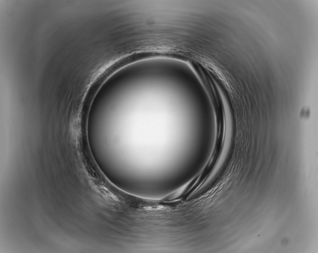 X0000099580532200805161238