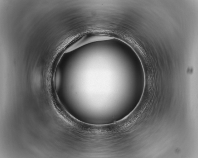 X0000099580533200805161238