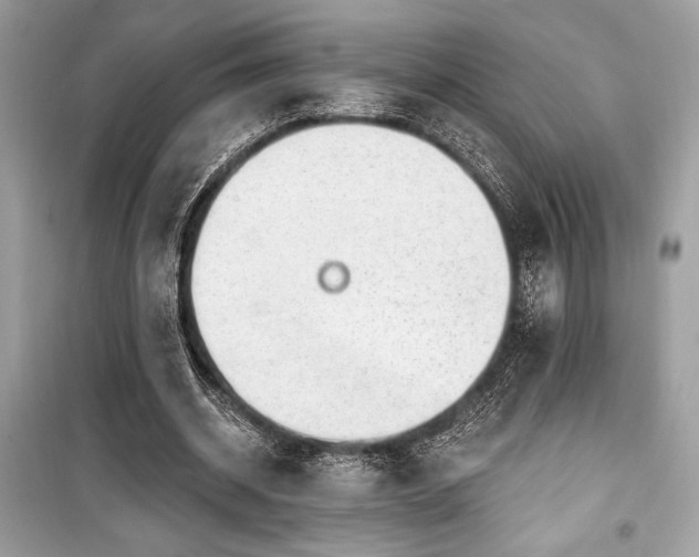 X0000099580534200805161238